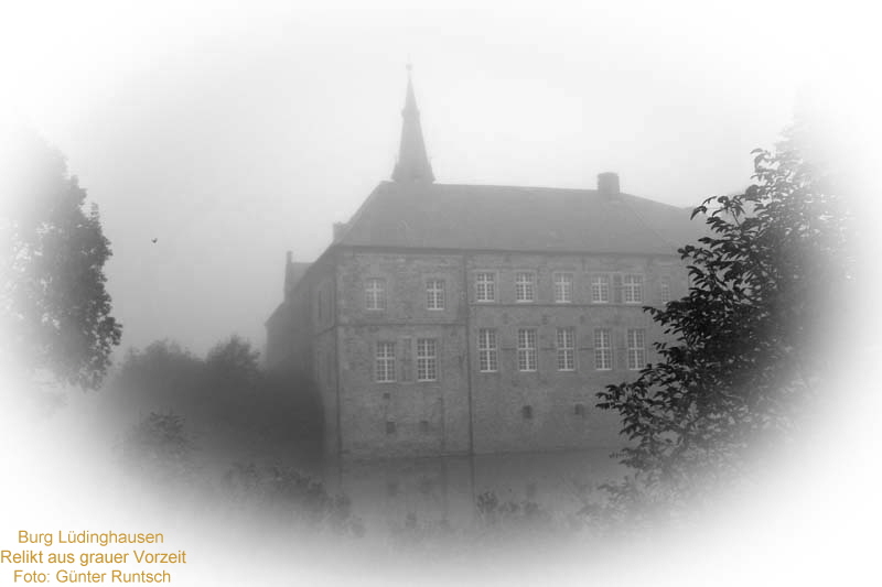 Burg Lüdinghausen 
Relikt aus grauer Vorzeit
Foto: Günter Runtsch